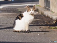 俺の道だぞ