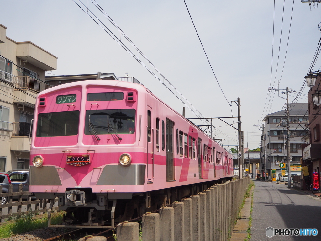 流電さくら号