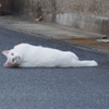 私になにか用？
