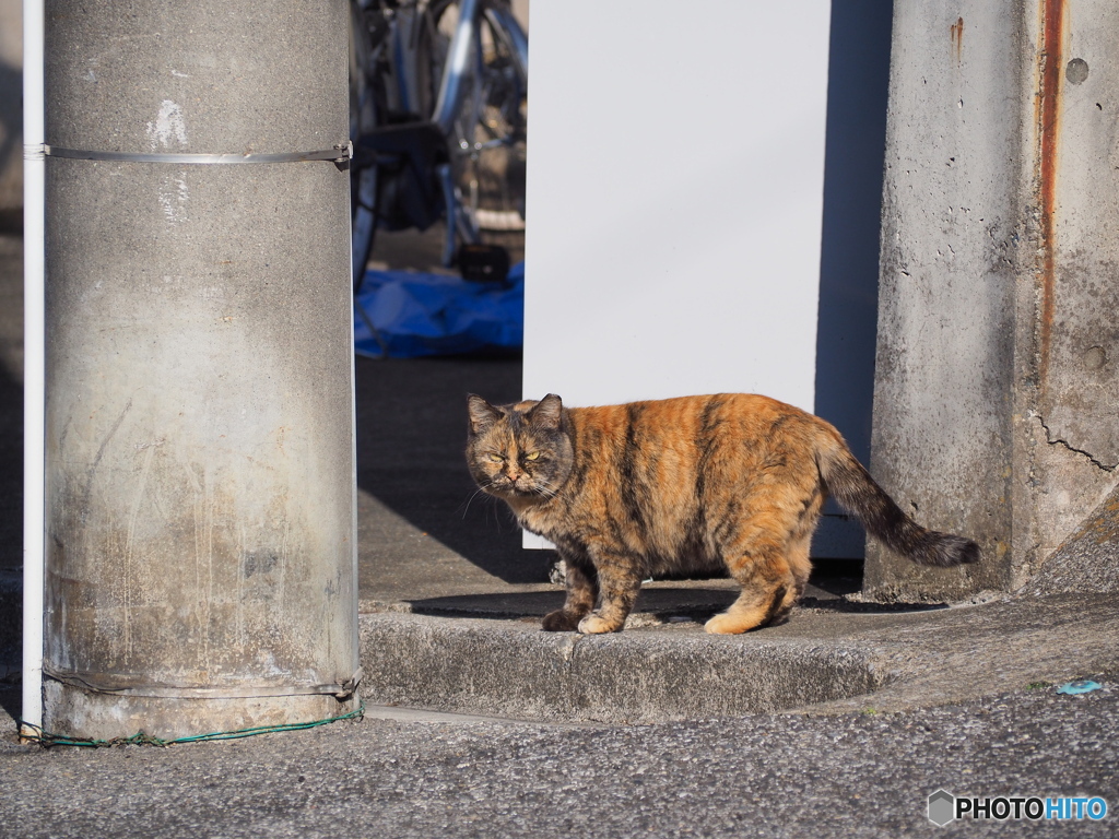 視線合わせたらアカン