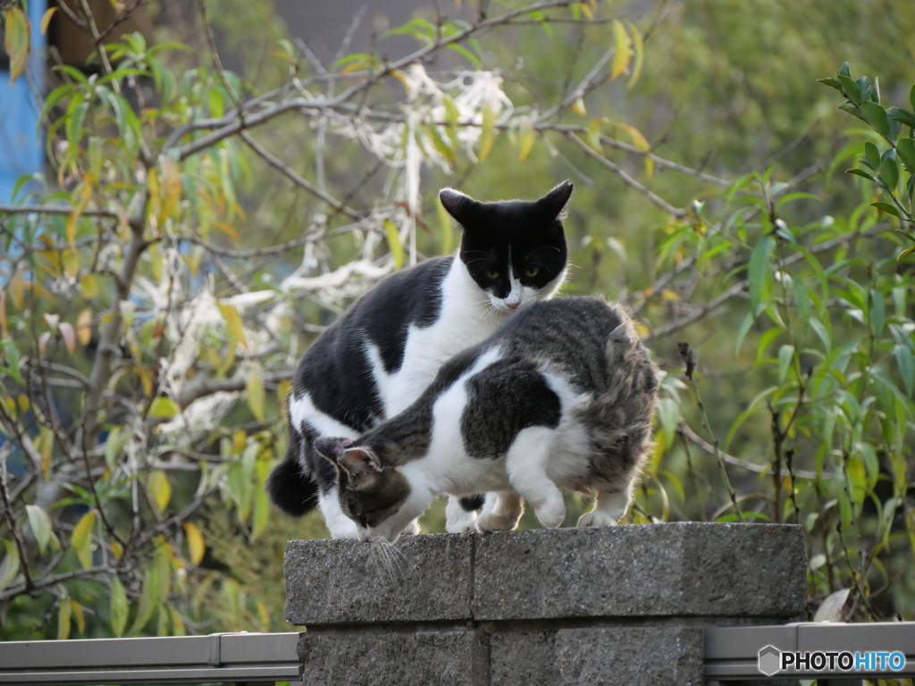 仲良し