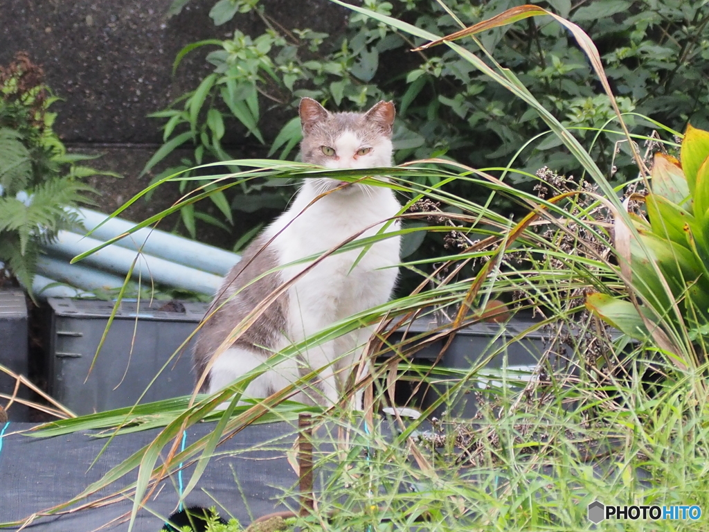 いまにも逃げ出しそう