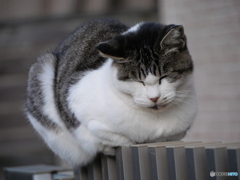ぐっすり