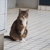 おっと目が合っちまったぜ