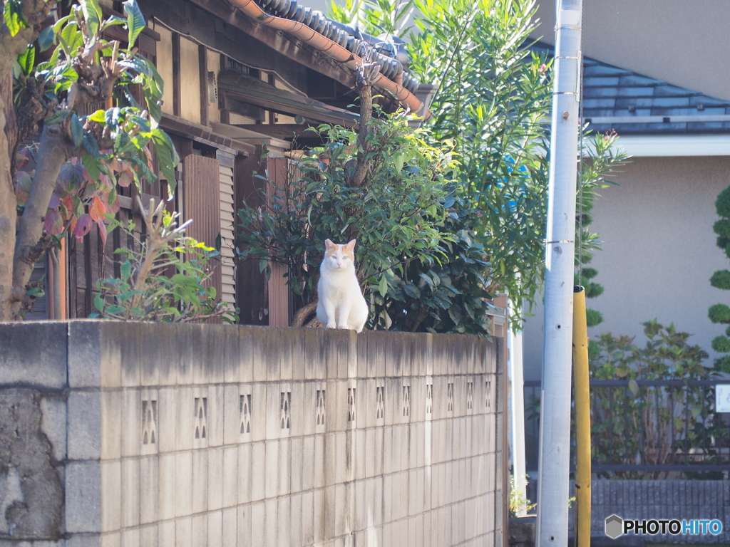 そろそろ来ると思ってた
