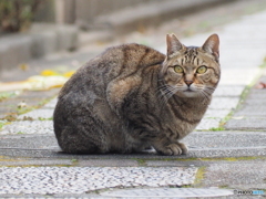 見事な猫背