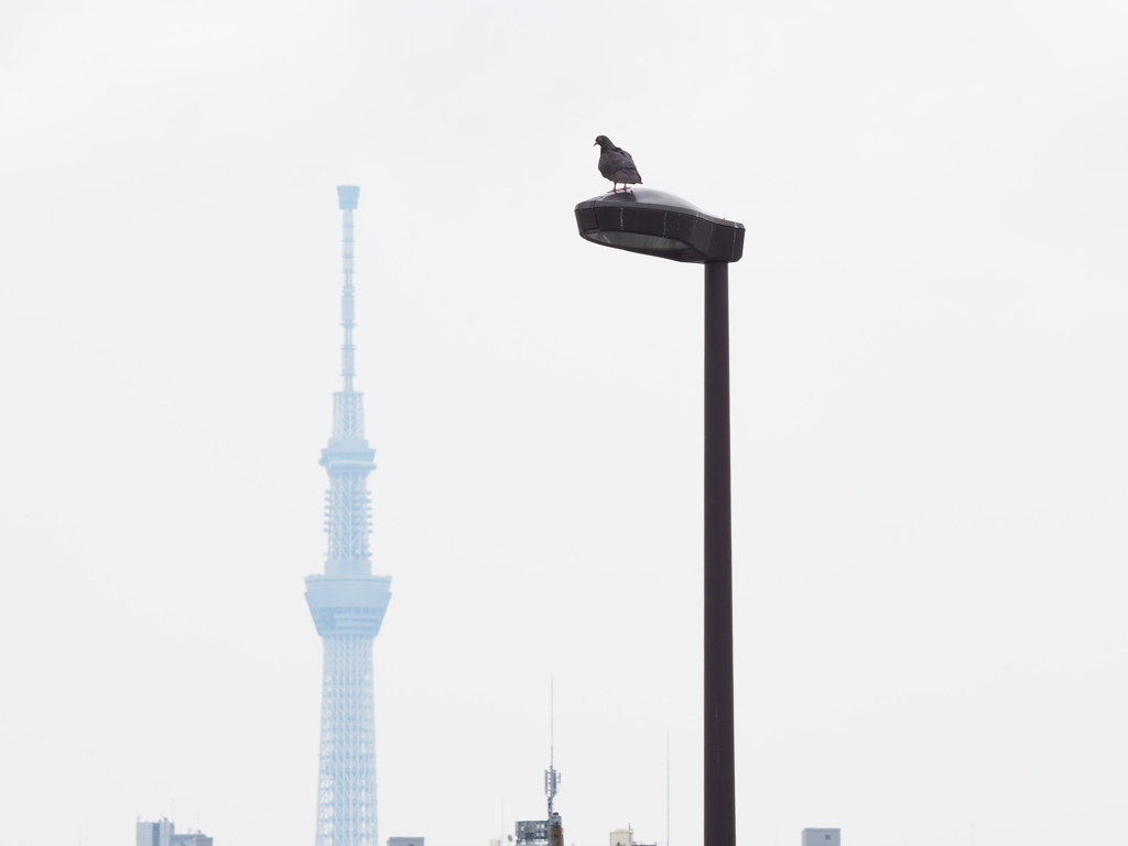 俺のがちょっと高い