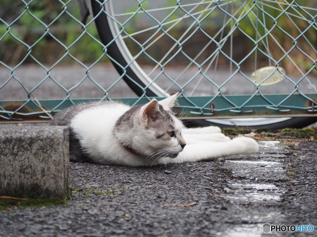 いつもここにいるよ