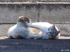 渾身の一撃