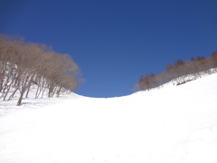 最高のプレゼント