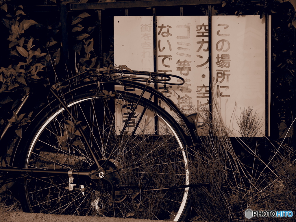 自転車はＯＫ？
