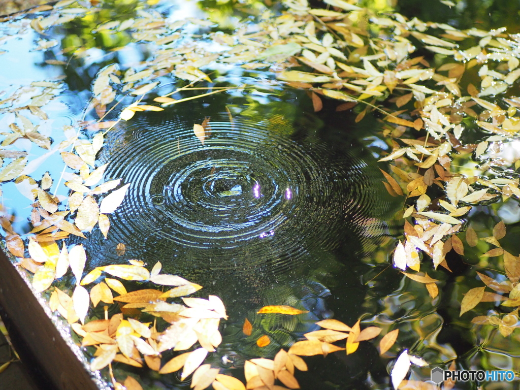 水の音が聞こえる