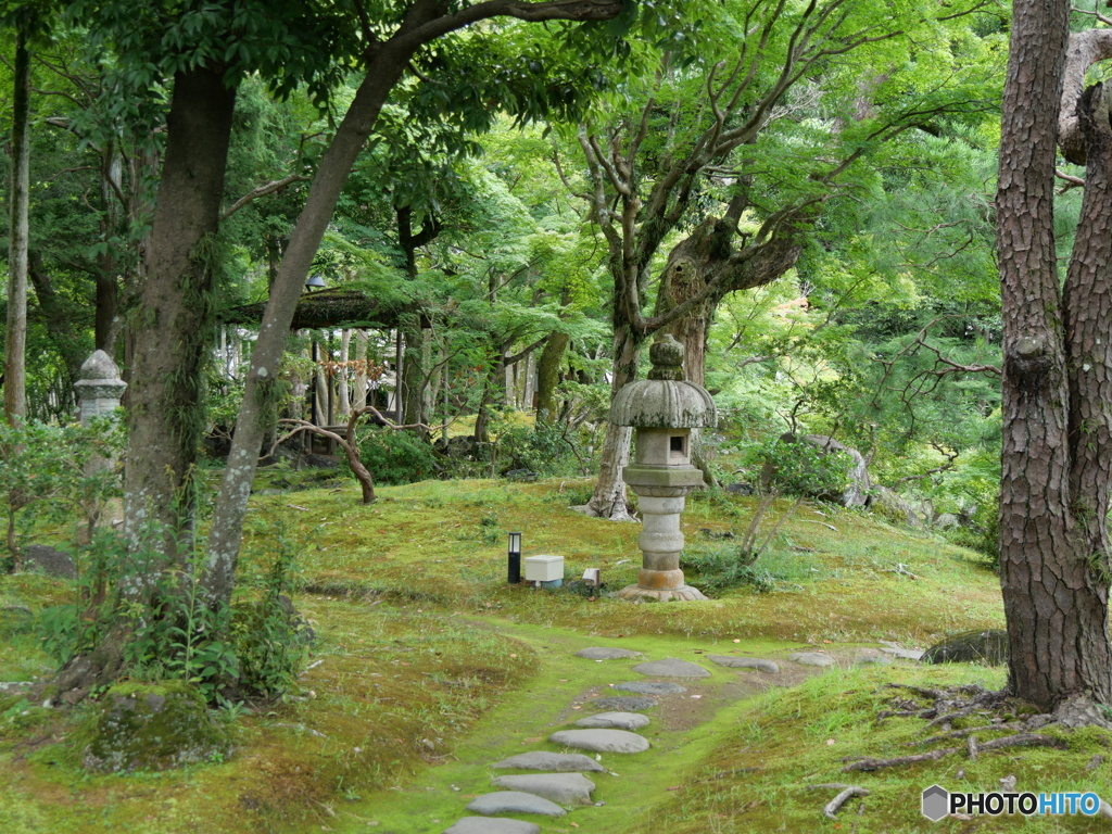 庭園