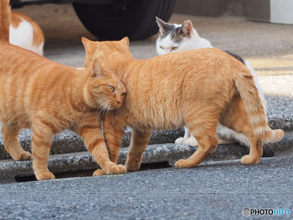 うじゃうじゃ