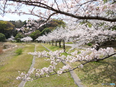 最後のチャンスかも
