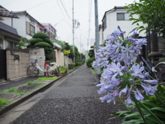 雨上がりの路地裏