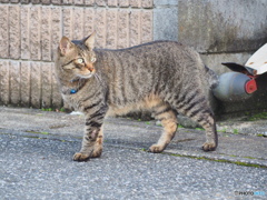 敵に気づかれたか？