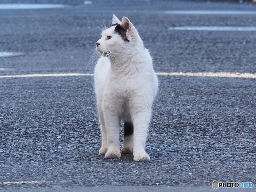 いい匂いでもする？