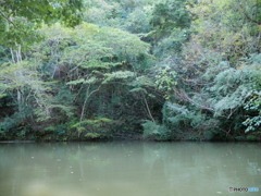 神秘的