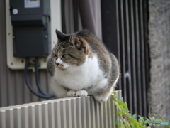 ここが落ち着く