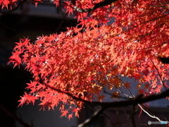 輝く