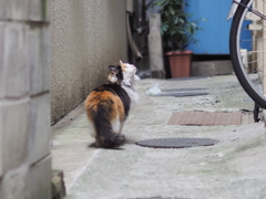 空が落ちてくる