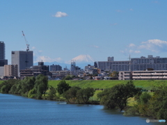 東京から富士山