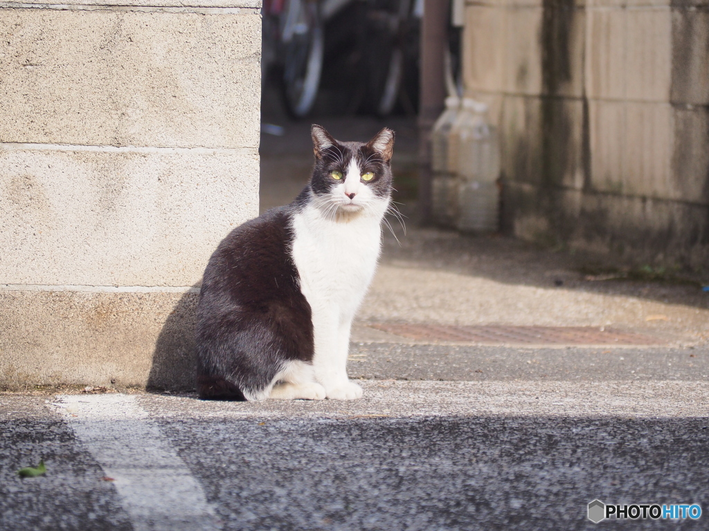 好みのタイプなわけないやろ