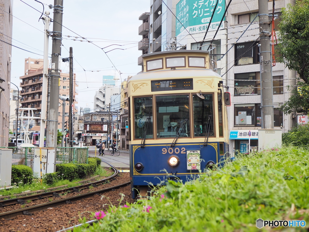 いい感じのカーヴ