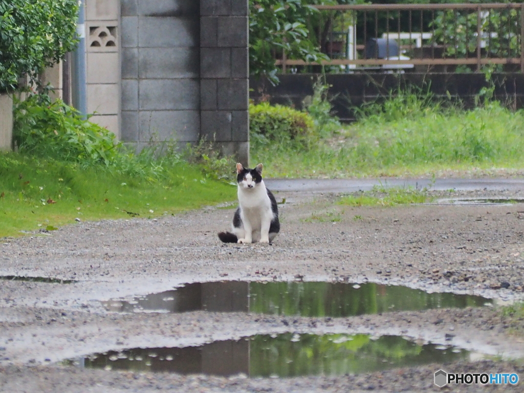それ以上近づいたら逃げるよ