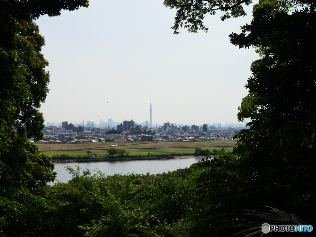 緑の額縁