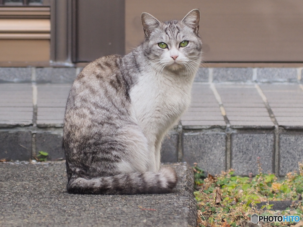 おすまし