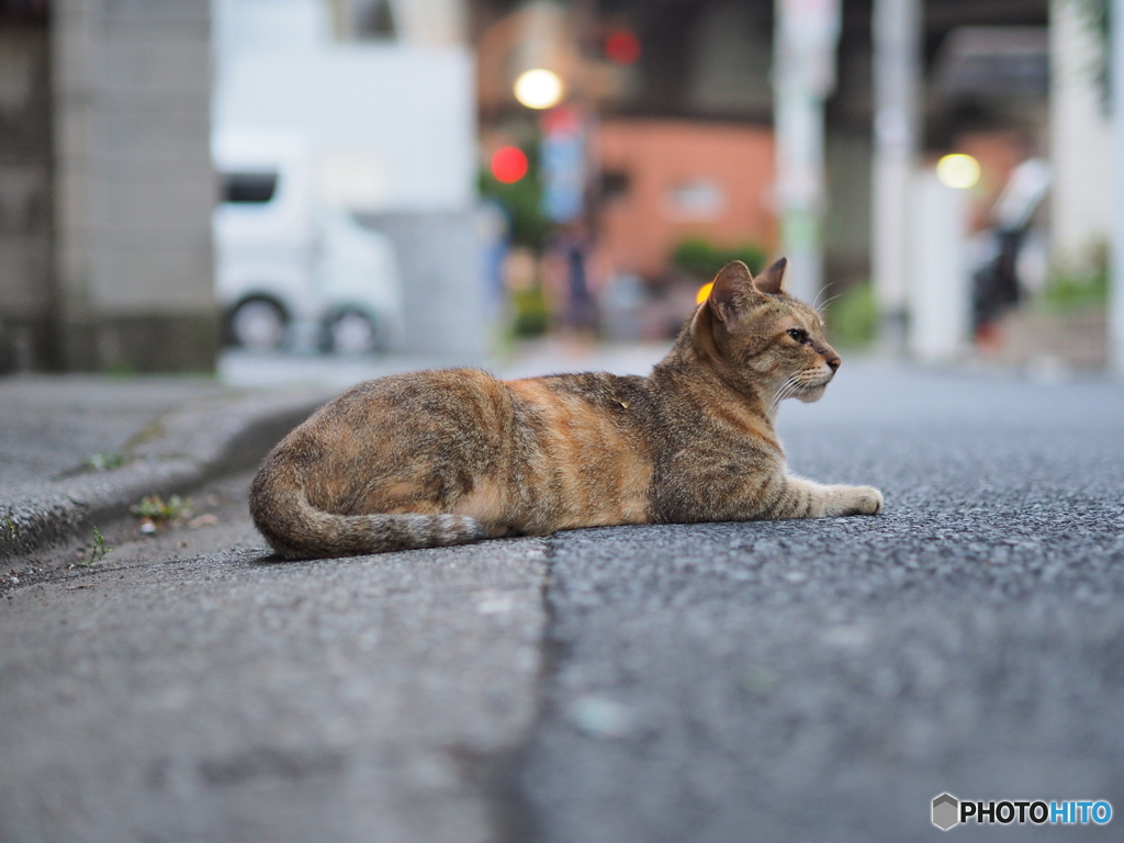 スフィンクスのポーズ