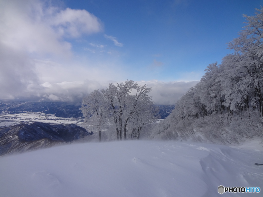八海山パウダー