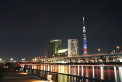 スカイツリー 夜景