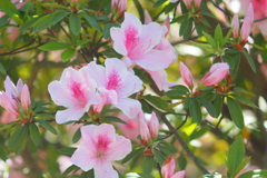 P5070127