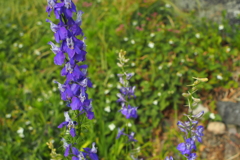 P6040143