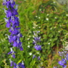P6040143