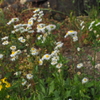P6040141