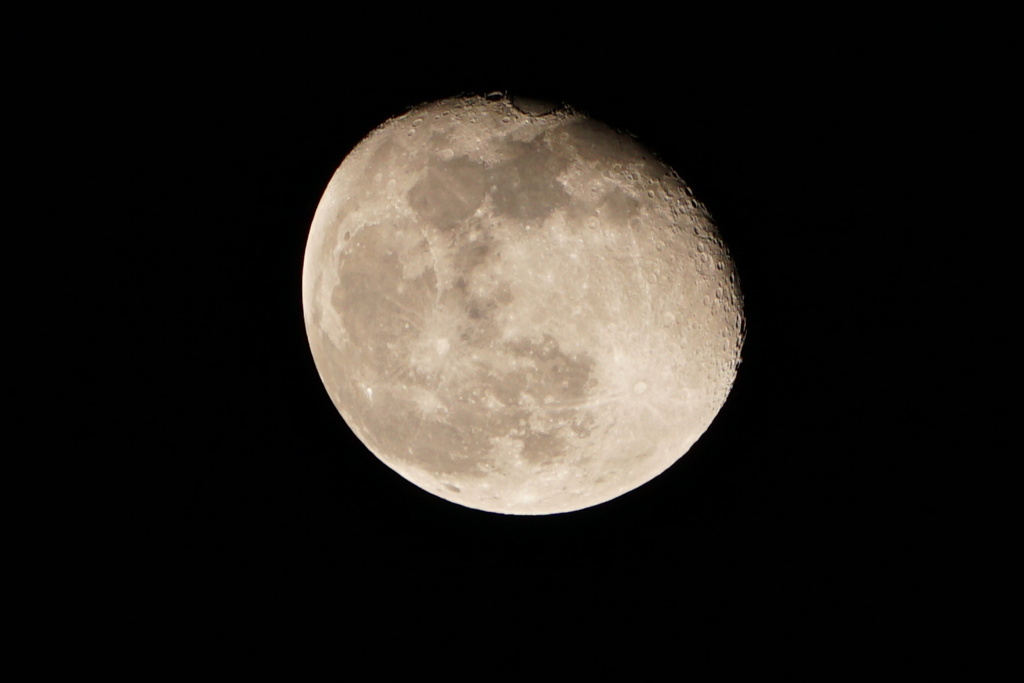 イマツキ