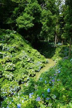 城跡から②