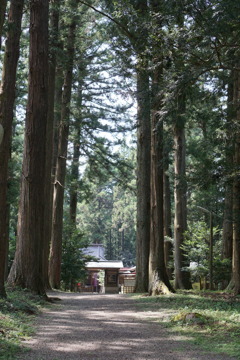 神社巡り②