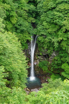 雨日和〜滝③