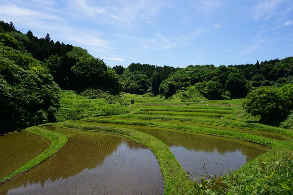良いお天気！