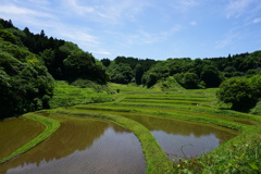 良いお天気！