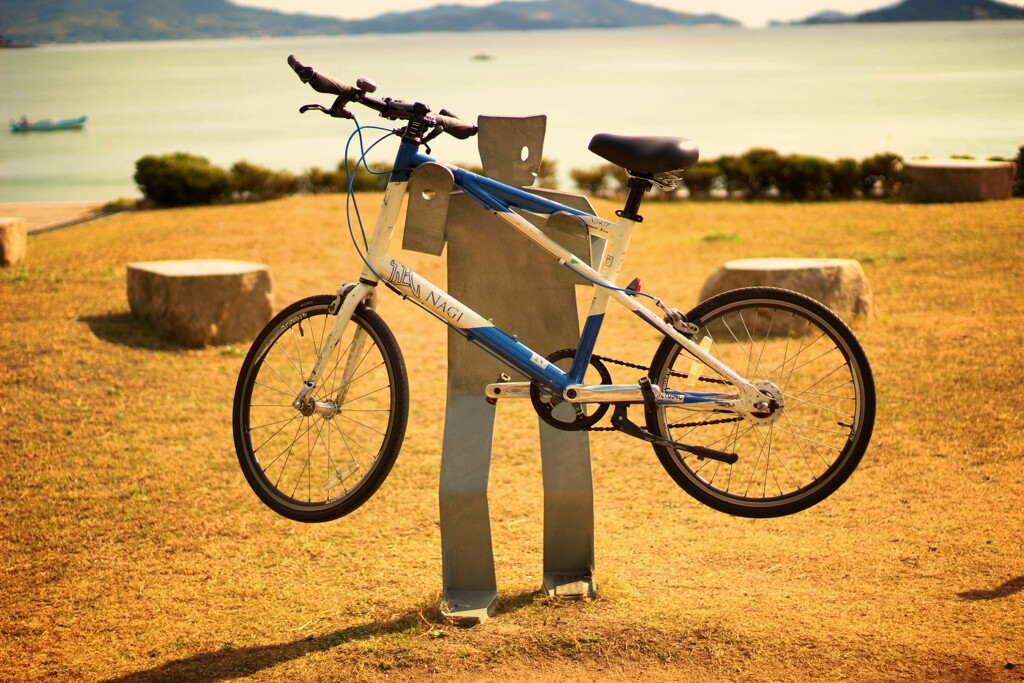 Fotor_157286806788546