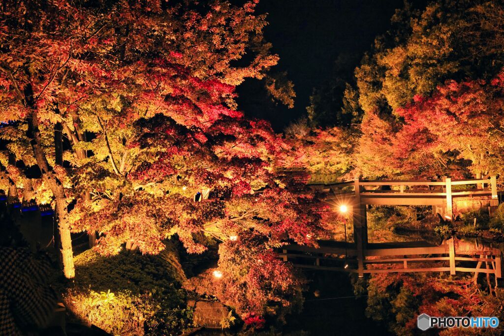 なばなの里イルミネーション