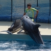 江ノ島水族館にて