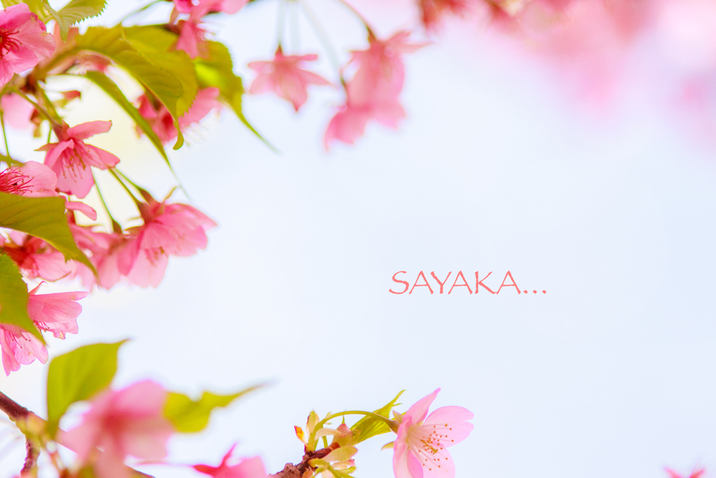 文字入れてごまかしました❣️