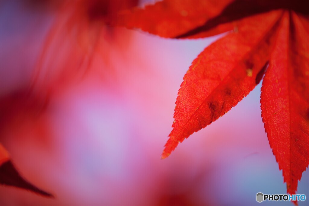 秋肌❣️